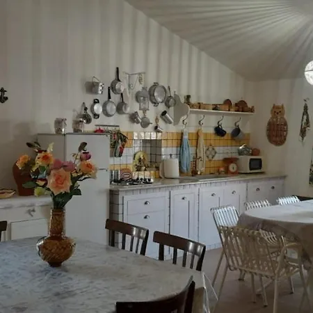 Rosa's House Bed & Breakfast